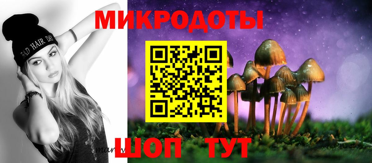 Нововоронеж  Псилоцибиновые грибы Cubensis  Вход с VPN 