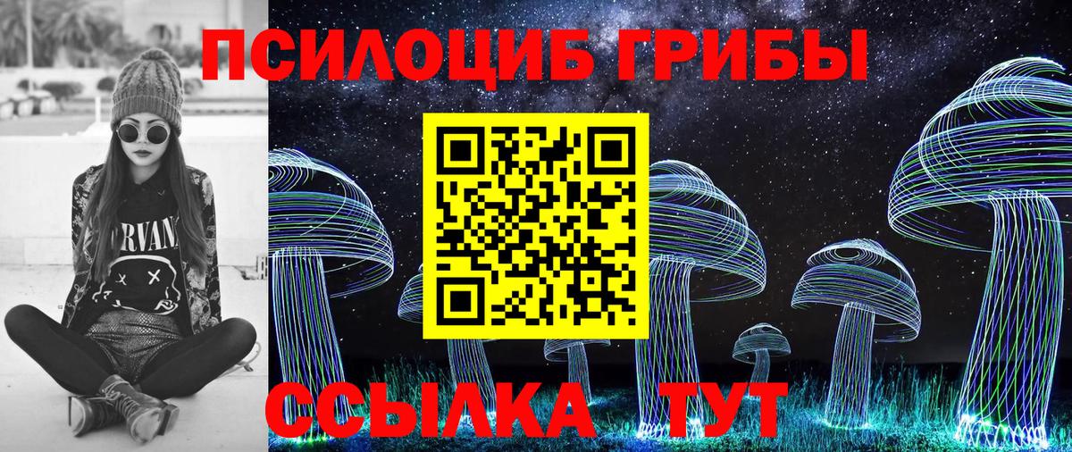 Галлюциногенные грибы GOLDEN TEACHER Нововоронеж