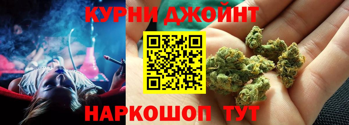 Марихуана конопля Нововоронеж